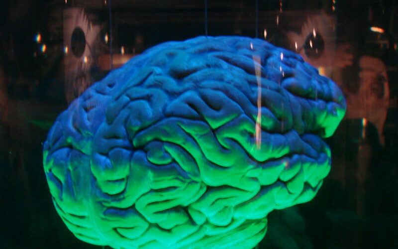 CBD oil for brain cancer and brain tumor