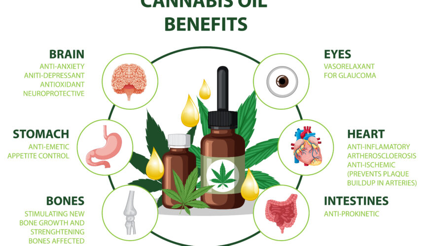 CBD and Fitness: How CBD Oil May Benefit Athletes and Fitness Enthusiasts