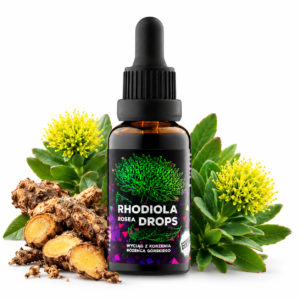 Różeniec Górski – krople DER 4:1 30 ml